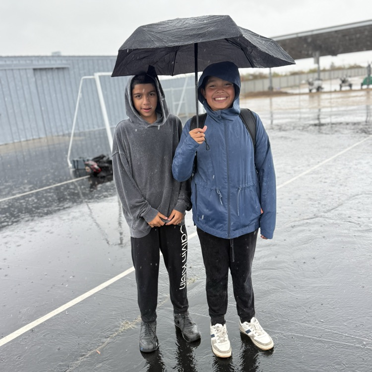 Rainy Day