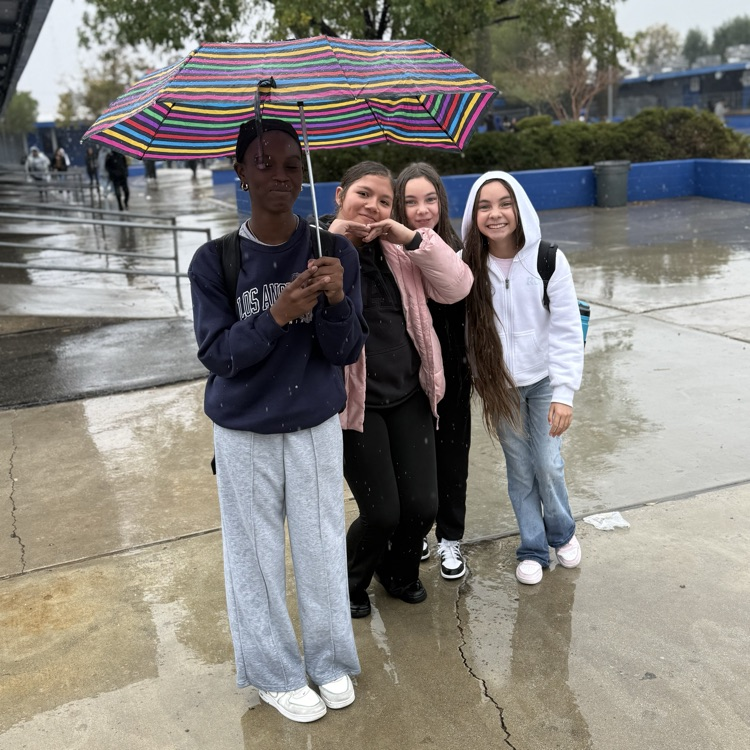 Rainy Day