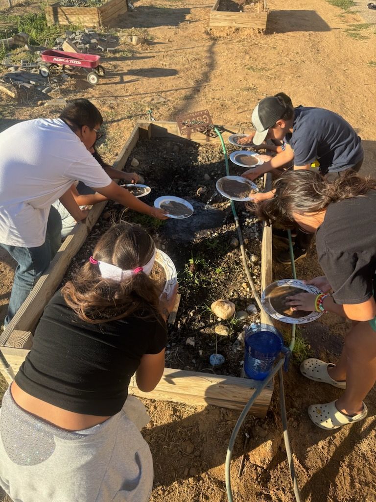 students working on garden