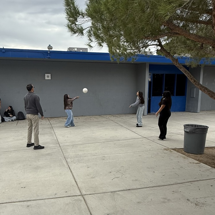 Lunchtime Volleyball