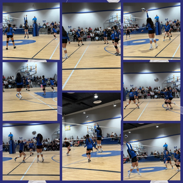 Girls Volleyball 