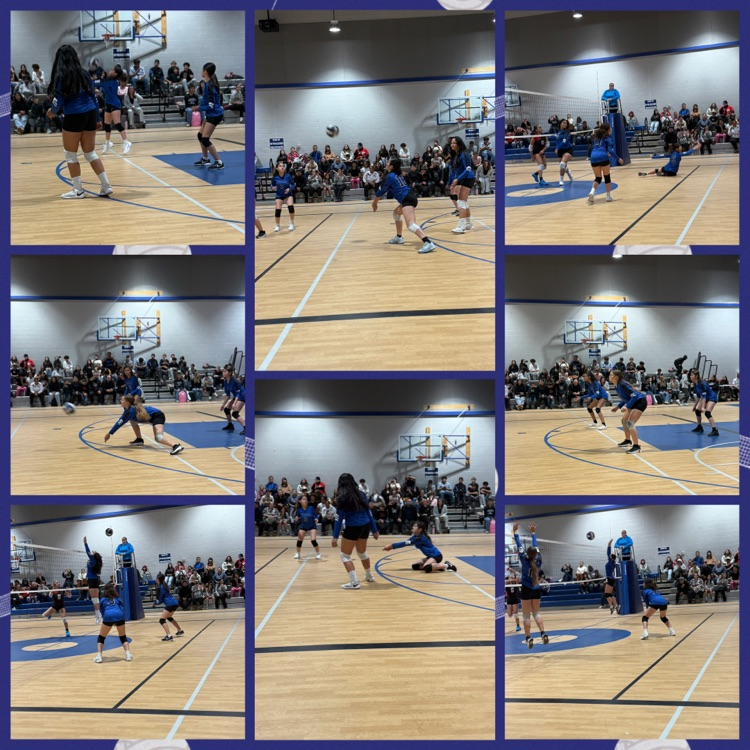 Girls Volleyball 