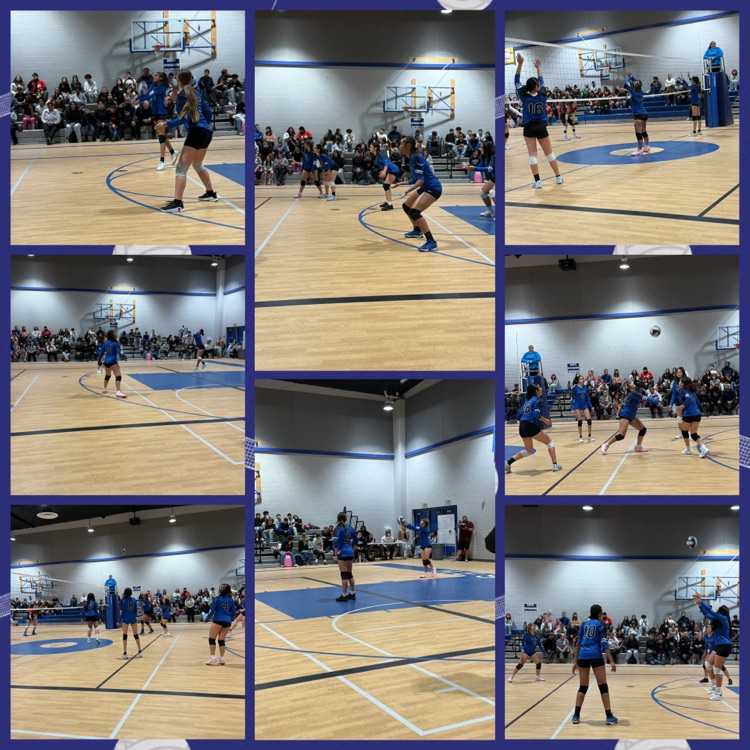 Girls Volleyball 