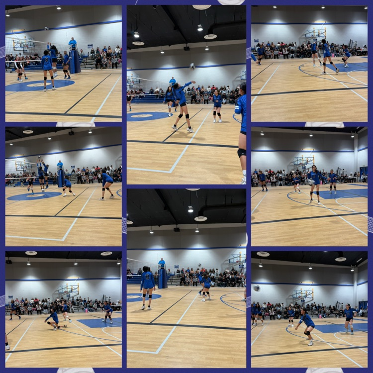 Girls Volleyball 