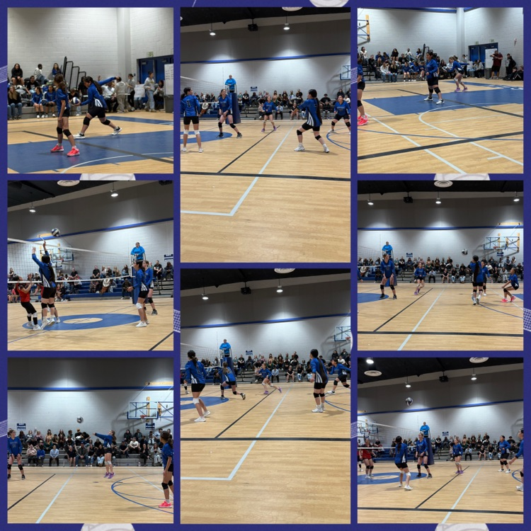 Girls Volleyball 