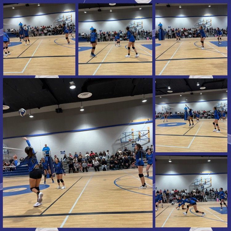 Girls Volleyball 