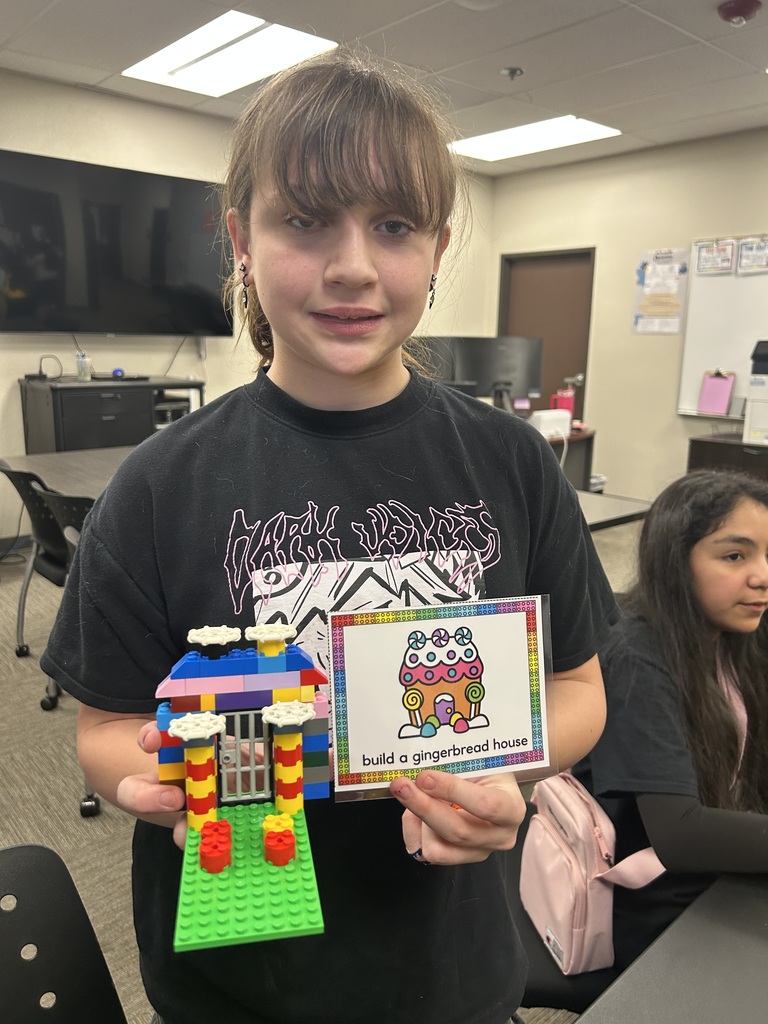 Lego Stem Club