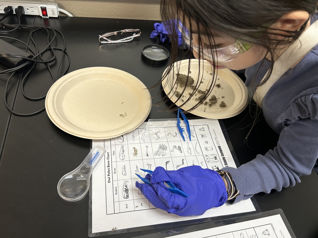 4th and 5th math lab