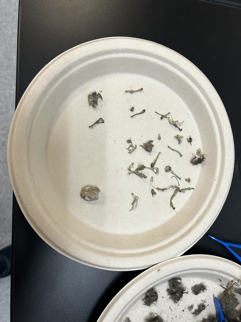 4th and 5th math lab