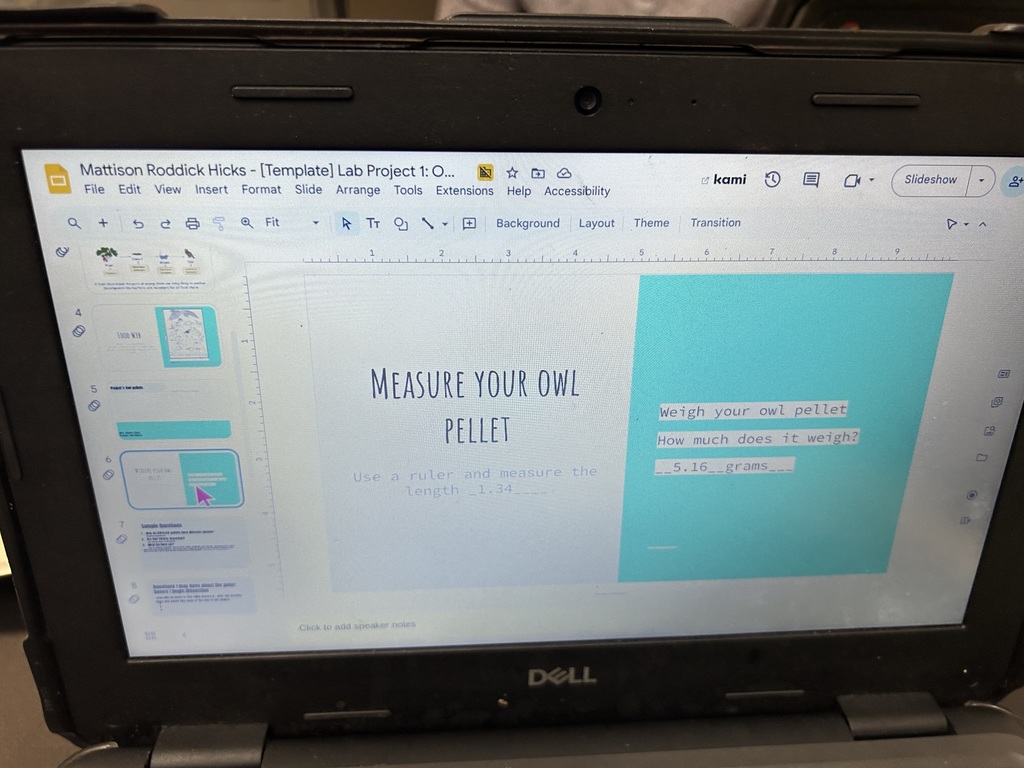 4th and 5th math lab