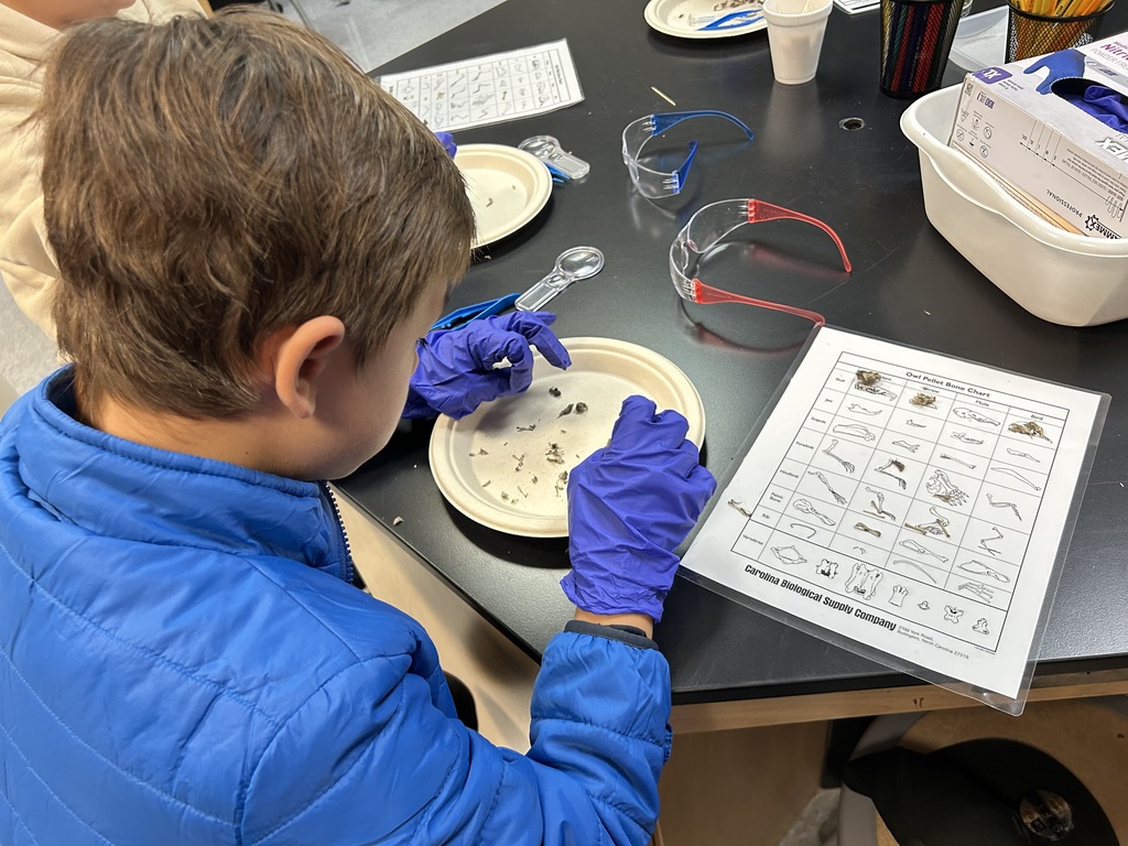 4th and 5th math lab