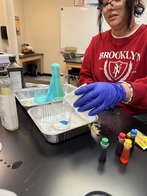 Secondary Science Club