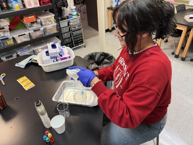 Secondary Science Club