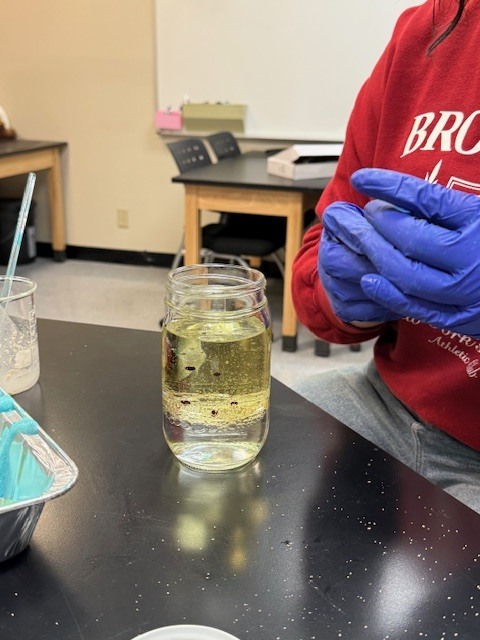 Secondary Science Club