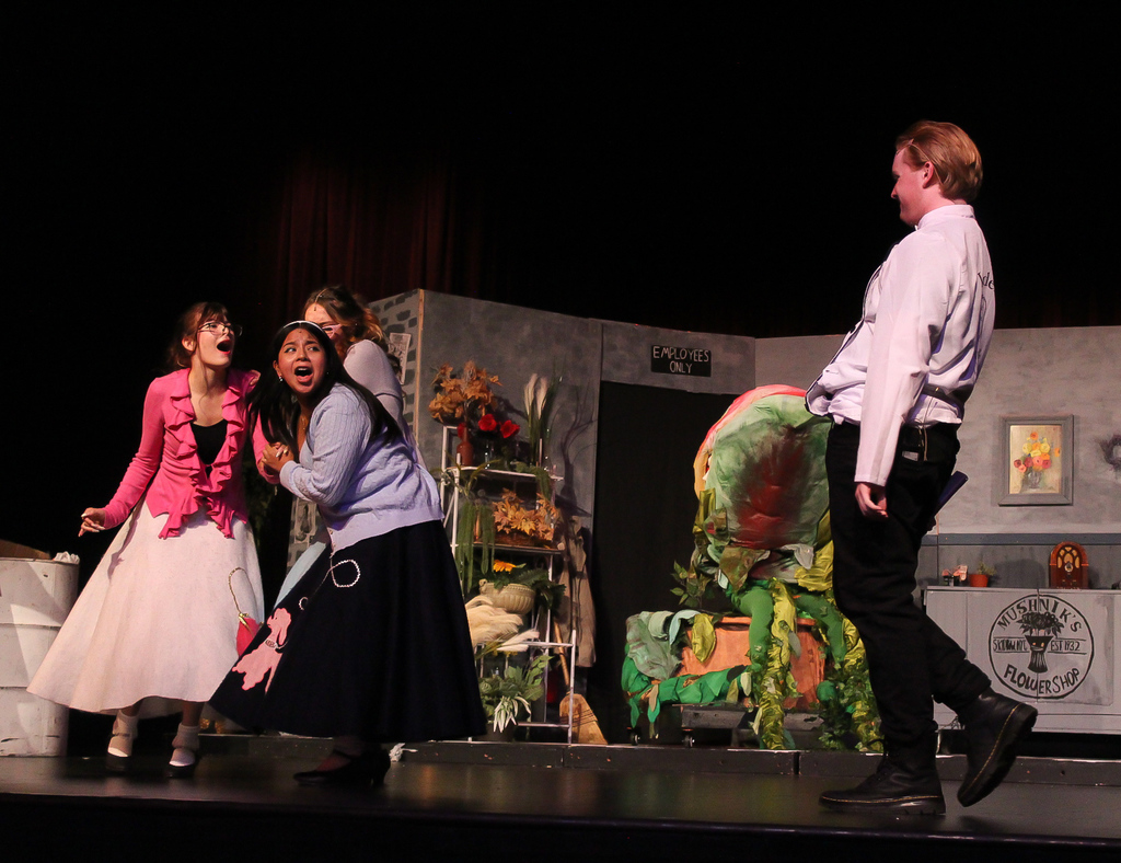 little shop of horrors studentd