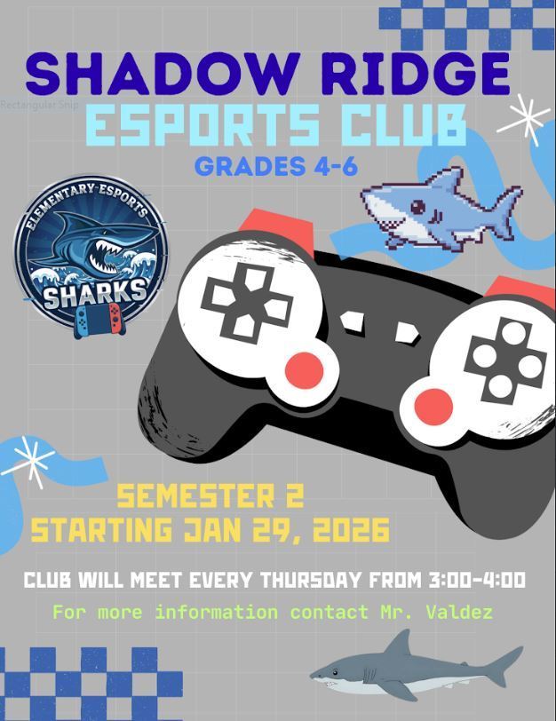 E-sports 2nd semester 