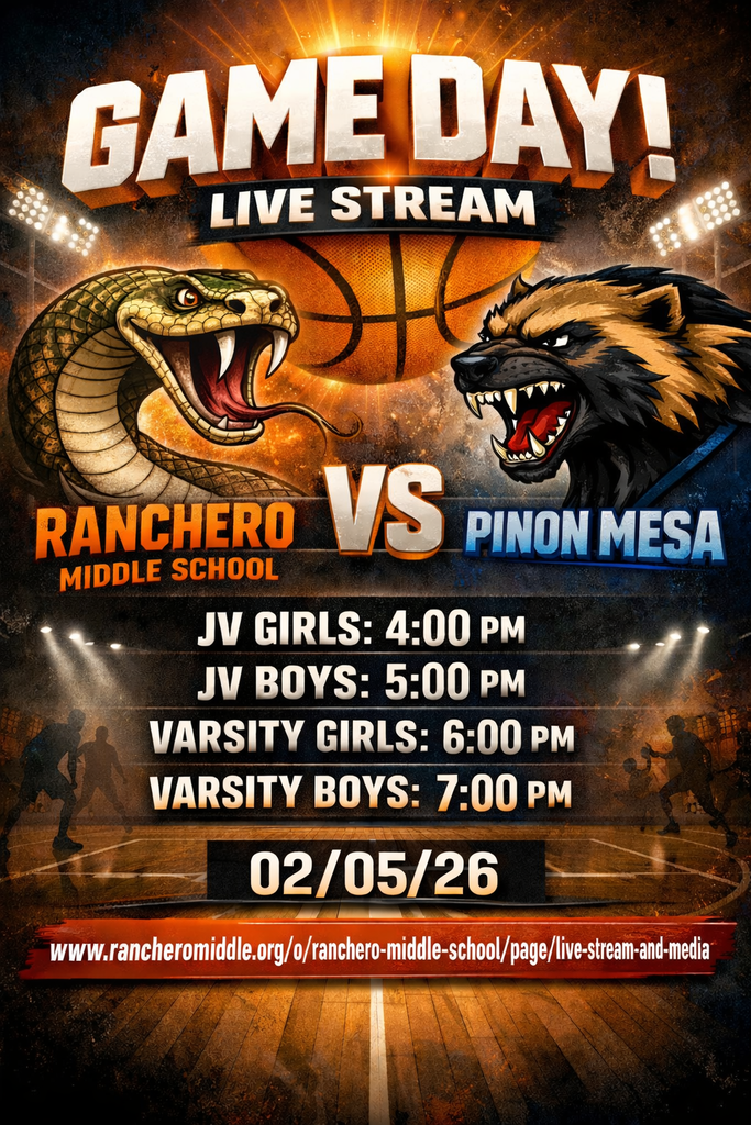 game flyer