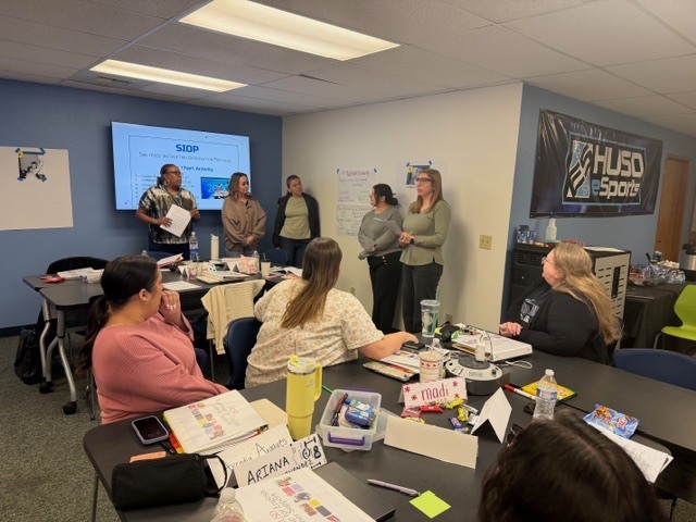 Teachers in professional development