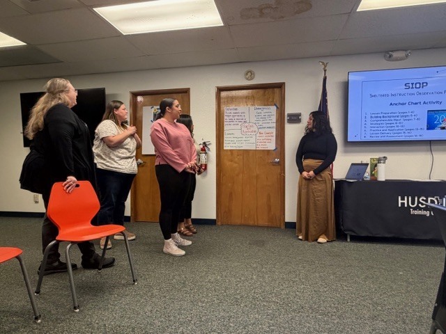 Teachers in professional development