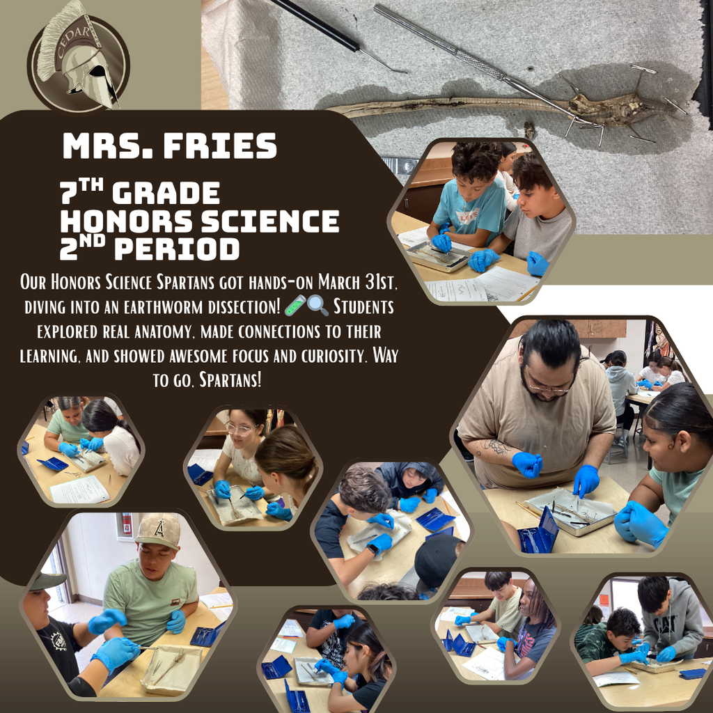 Our Honors Science Spartans got hands-on yesterday, diving into an earthworm dissection! 🧪🔍 Students explored real anatomy, made connections to their learning, and showed awesome focus and curiosity. Way to go, Spartans! 