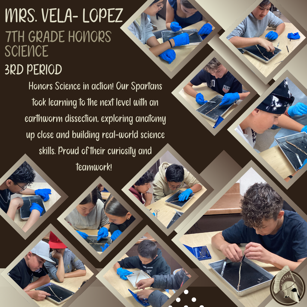 Honors Science in action! Our Spartans took learning to the next level with an earthworm dissection, exploring anatomy up close and building real-world science skills. Proud of their curiosity and teamwork! 