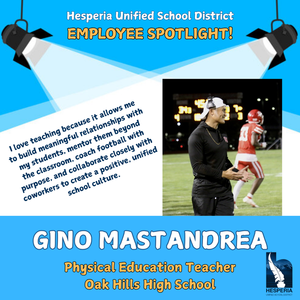 Gino Spotlight Graphic