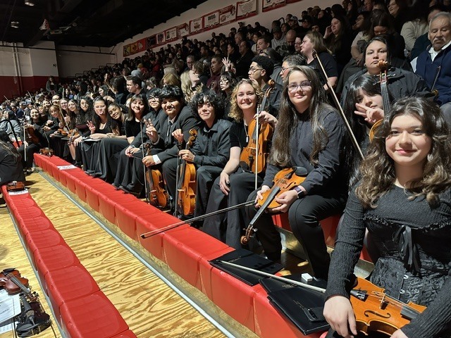  String Spectacular Concert