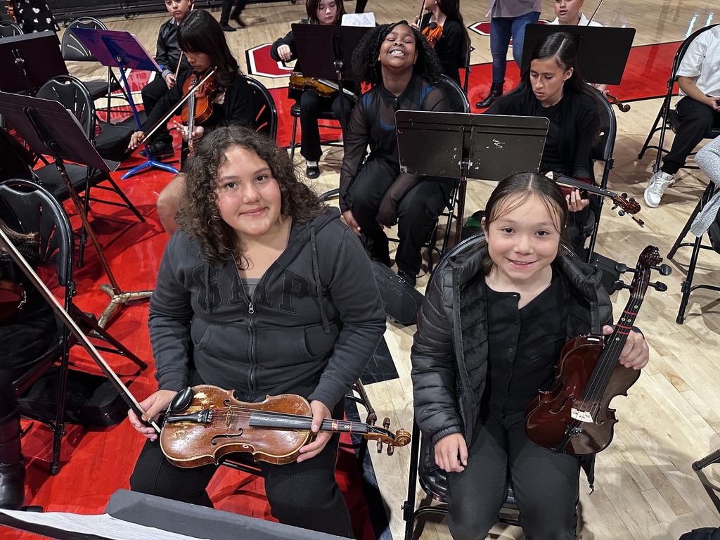  String Spectacular Concert