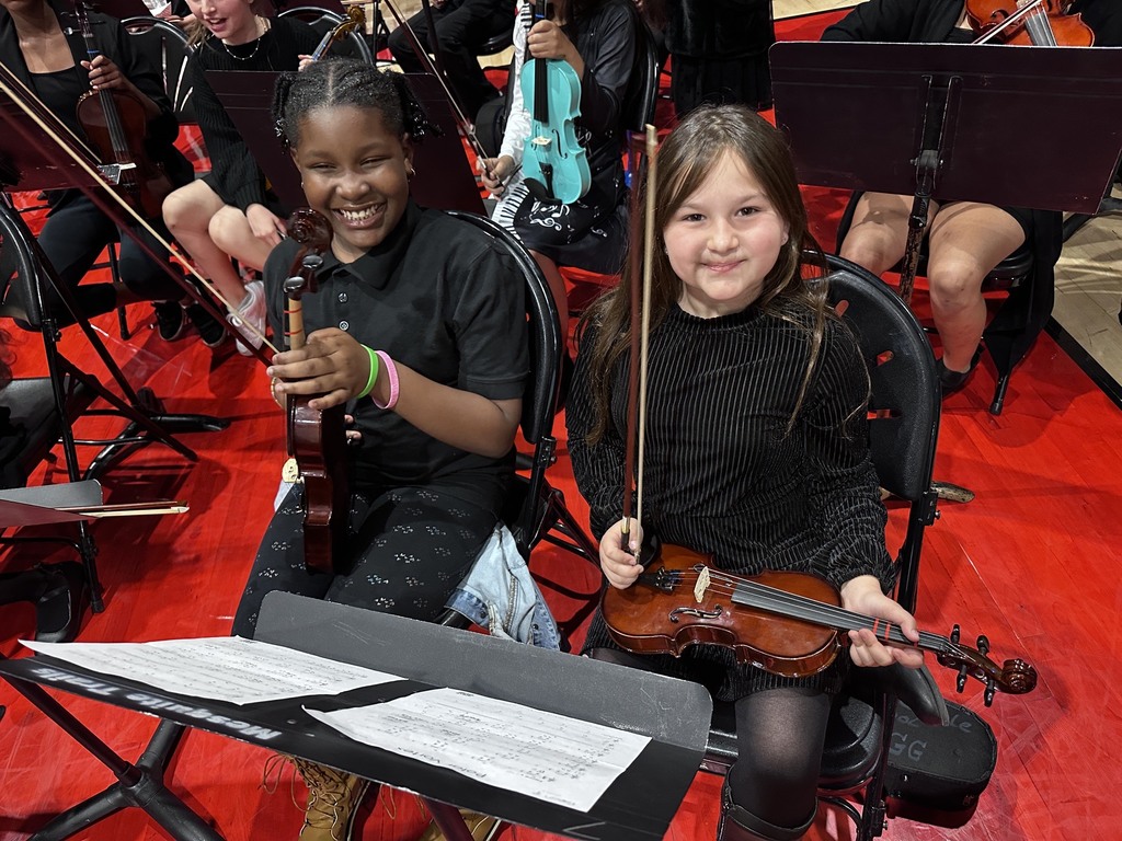  String Spectacular Concert