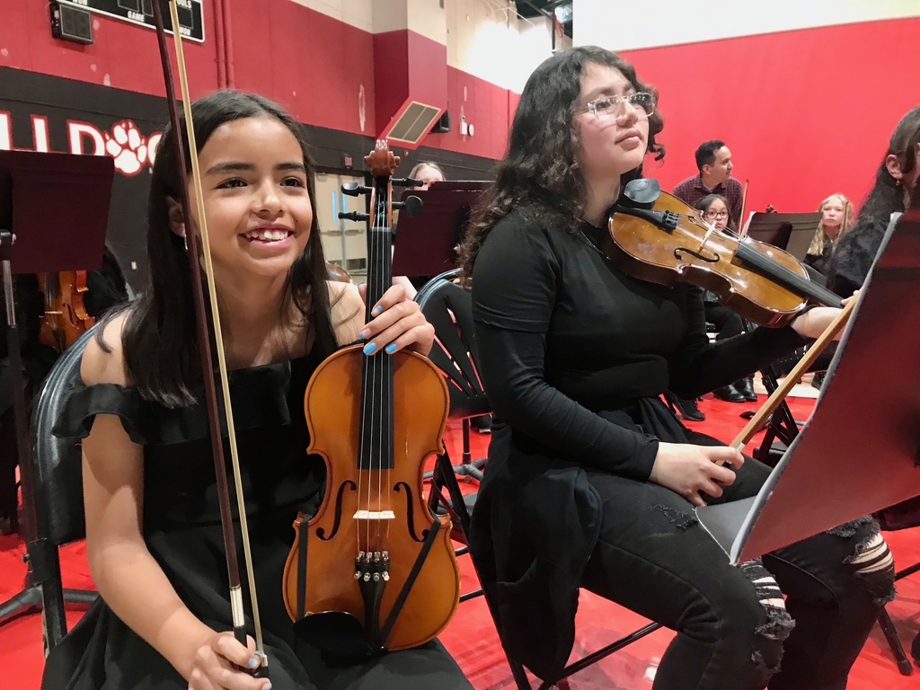  String Spectacular Concert