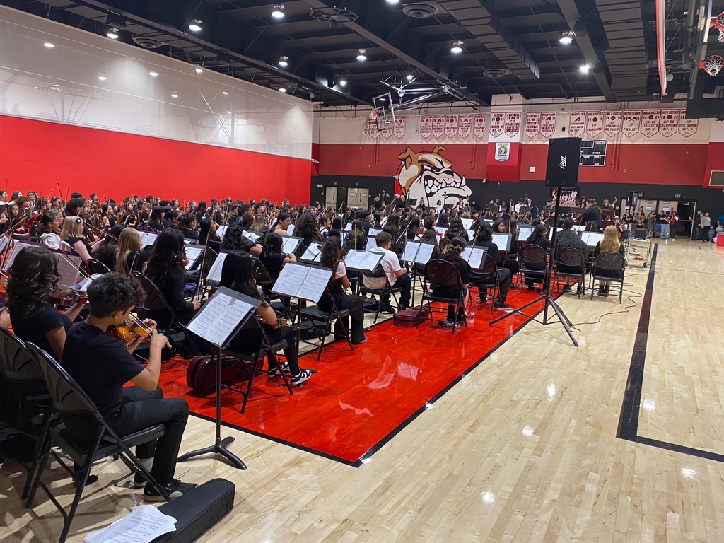  String Spectacular Concert