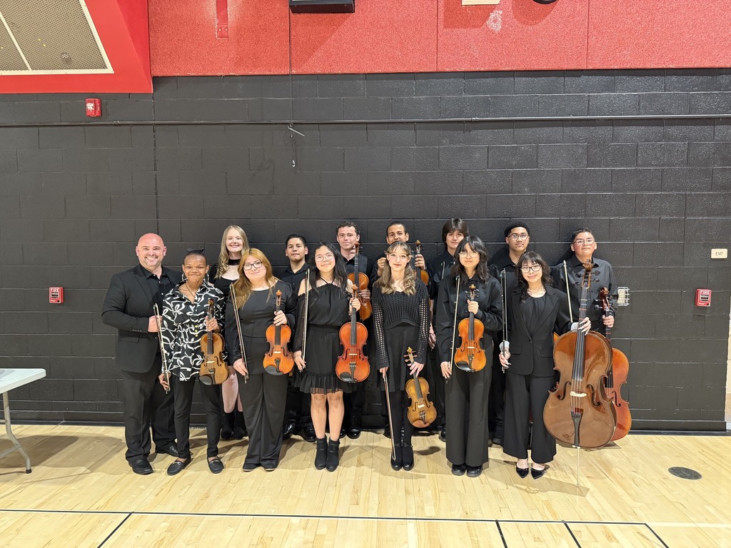  String Spectacular Concert