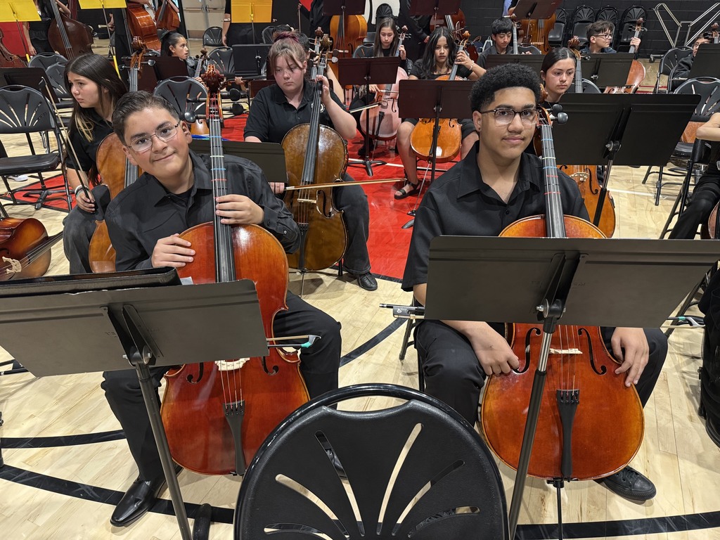  String Spectacular Concert