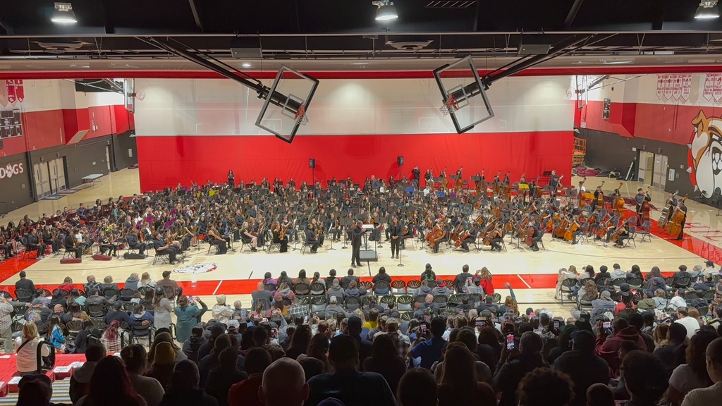  String Spectacular Concert