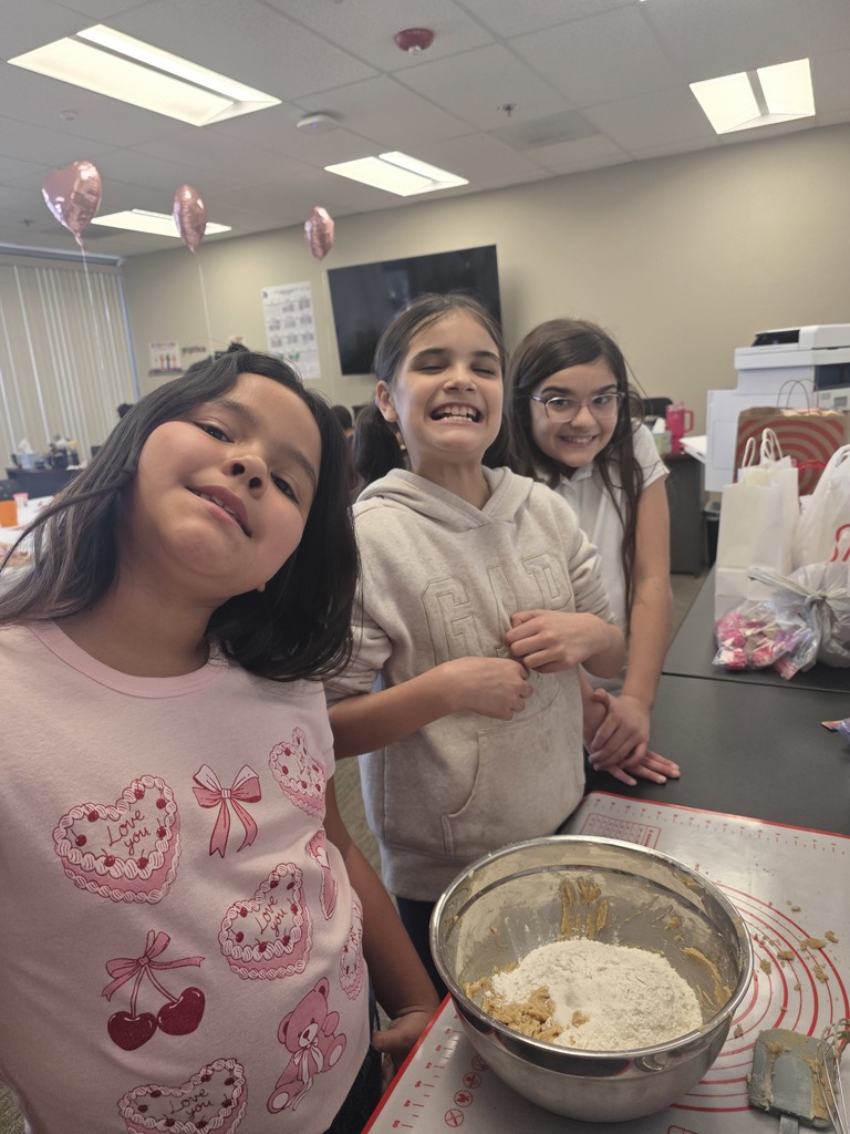 Shadow Ridge students learning math