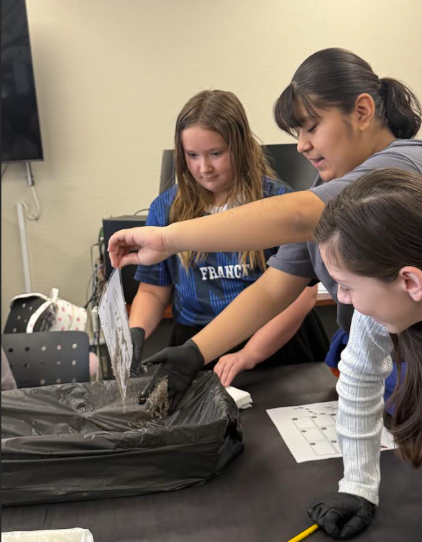 Fear Factor Math Lab 