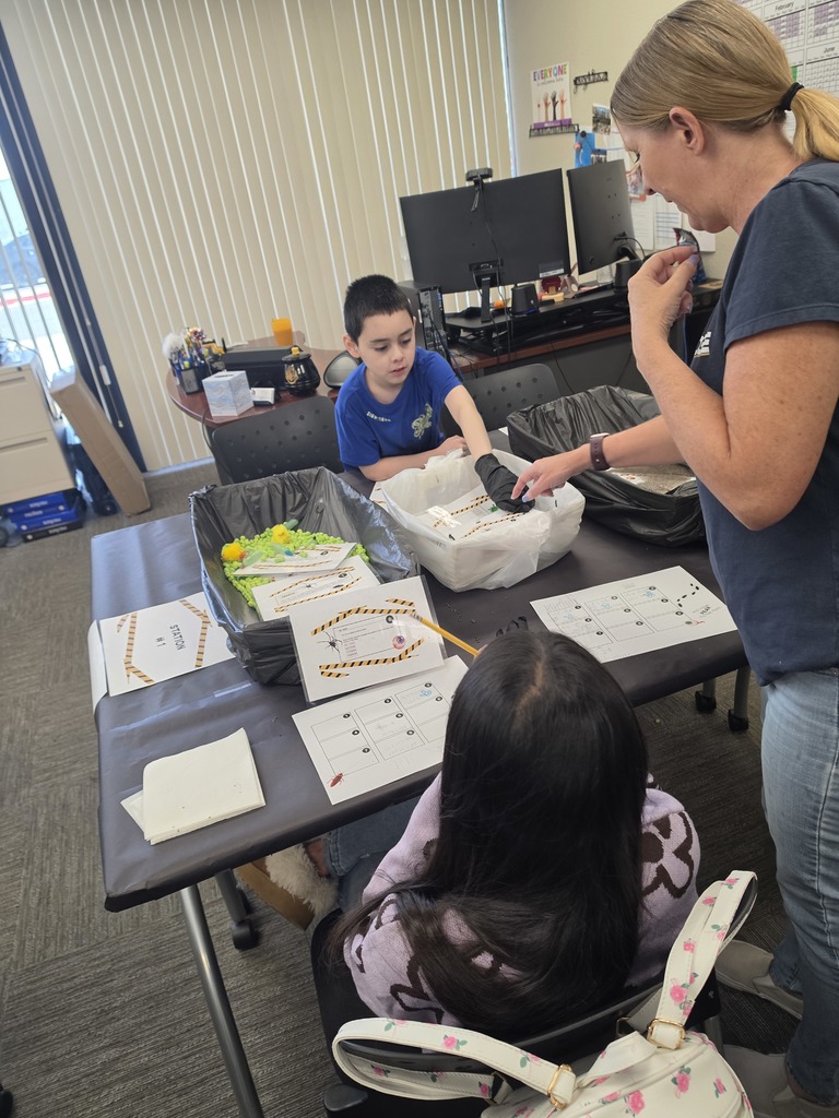 Fear Factor Math Lab 