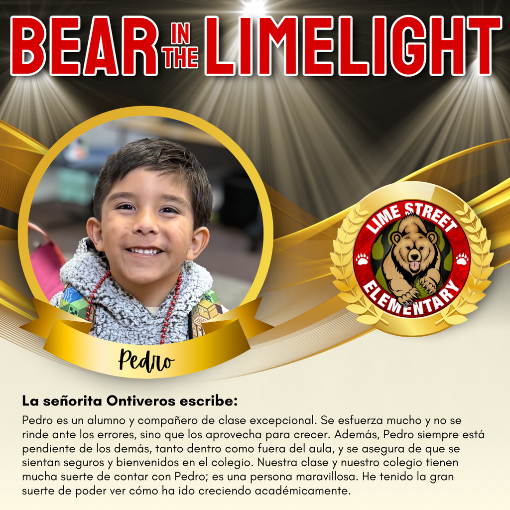 BEAR IN THE LIMELIGHT