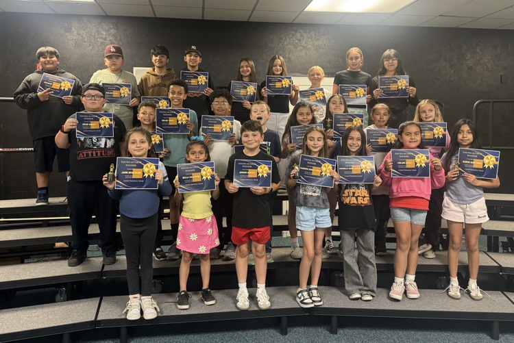 young authors 