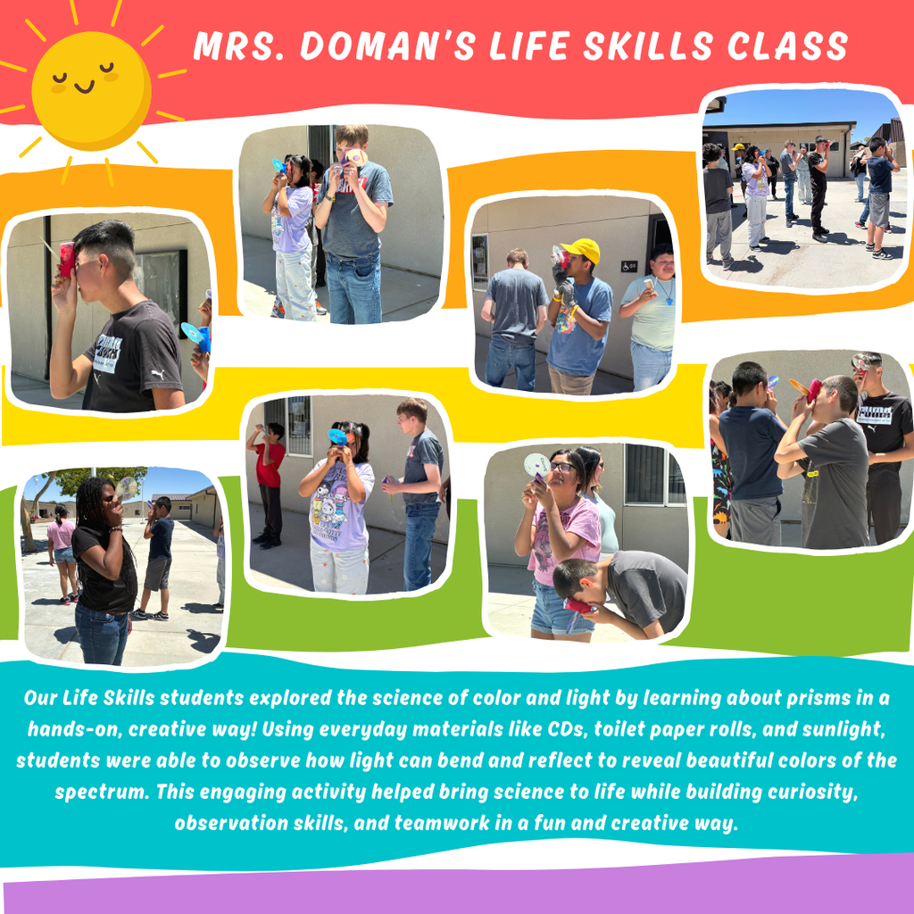 Mrs. Doman's Life Skills Fun