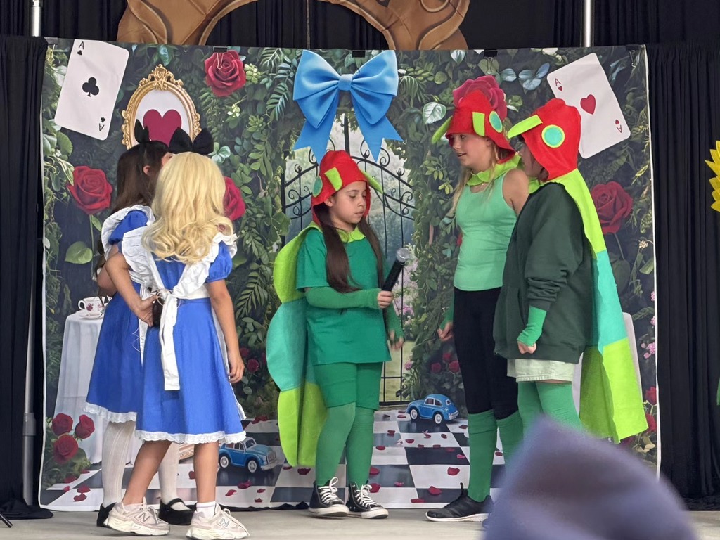 Alice in Wonderland Play