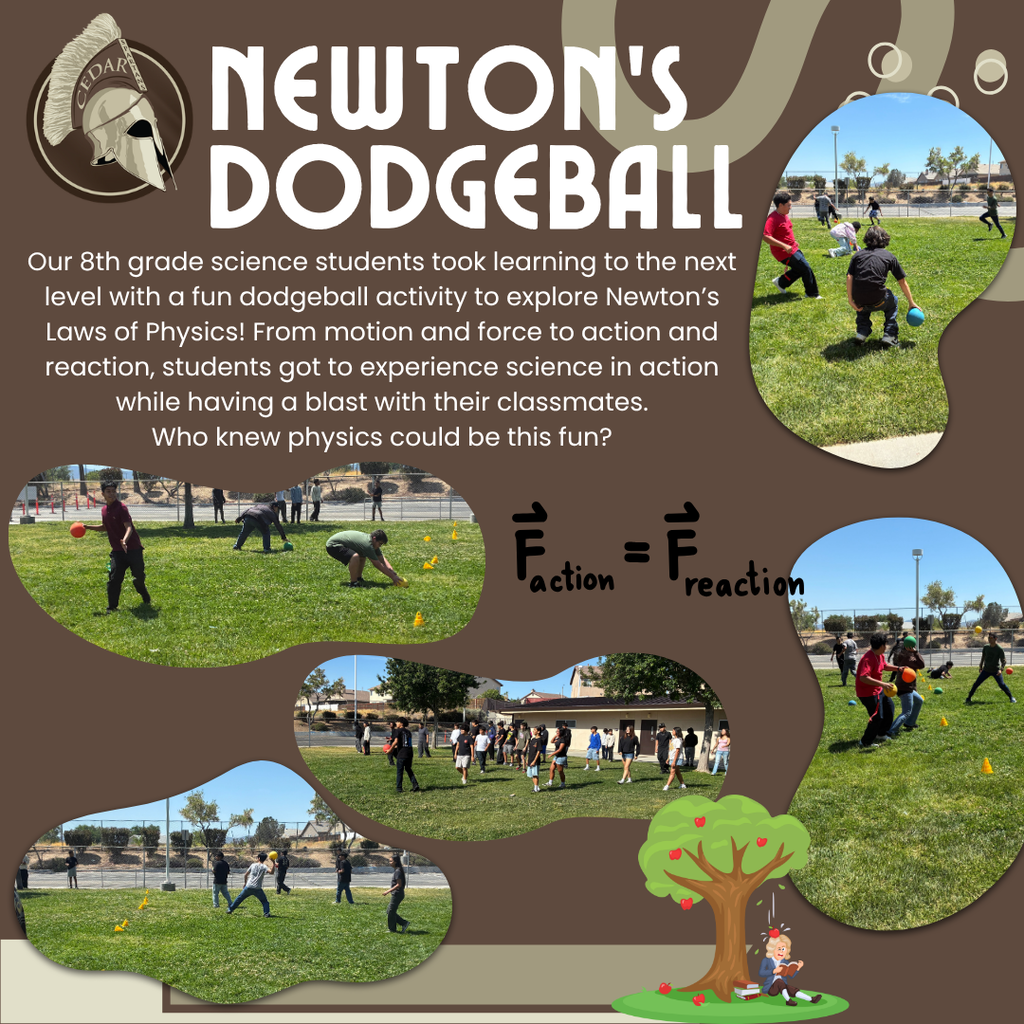 Newton's Dodgeball