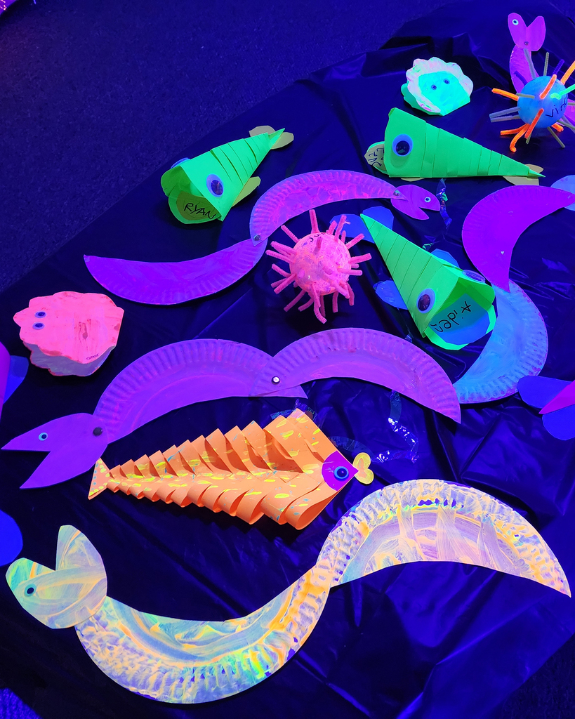 Paper Eels and Fish