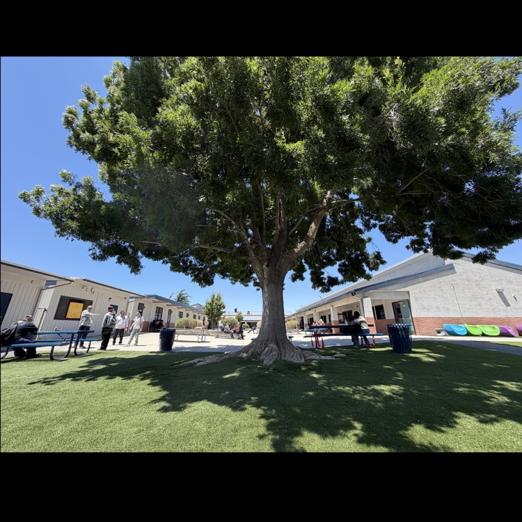 Mojave 