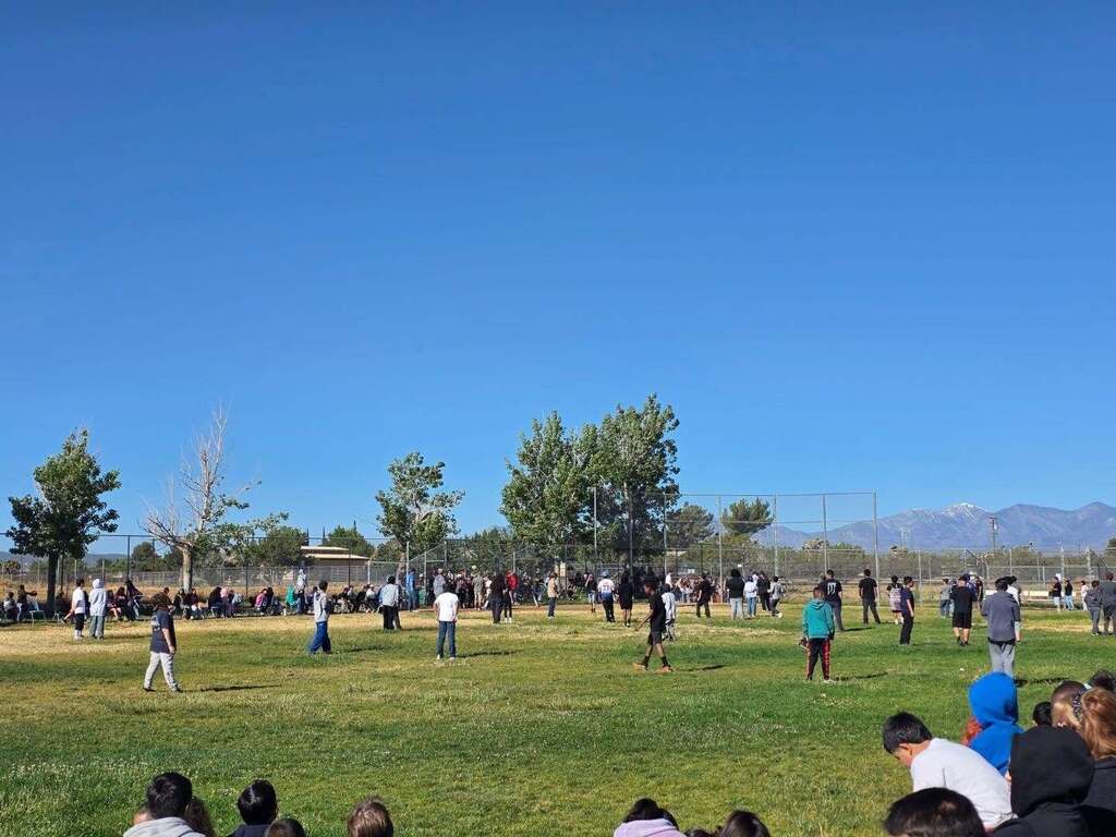 Softball Game