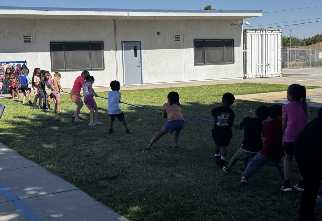 Field day