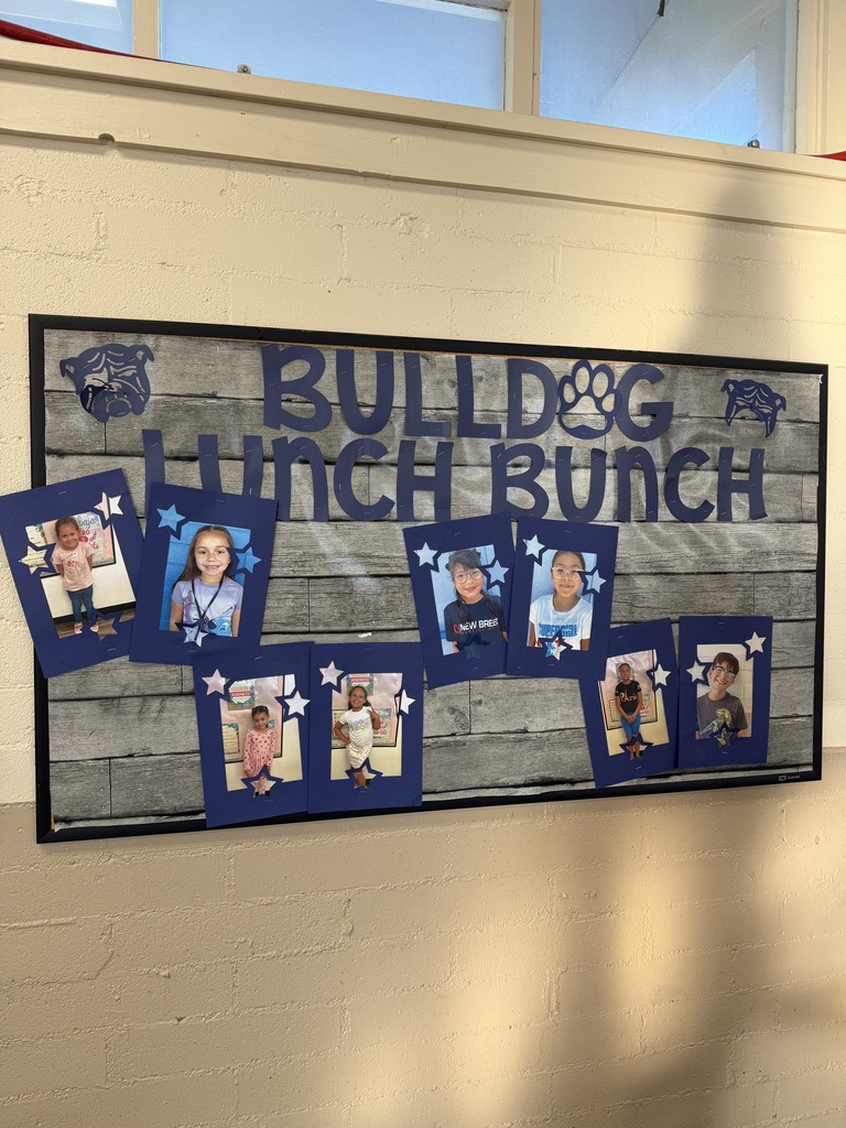 A school bulletin board titled “Bulldog Lunch Bunch” is displayed on a light-colored brick wall. The board has a gray wood-plank background with large navy-blue lettering and bulldog graphics in the upper corners. Eight student photos are displayed across the board in navy-blue frames decorated with stars. The display celebrates students selected for the school’s Bulldog Lunch Bunch.