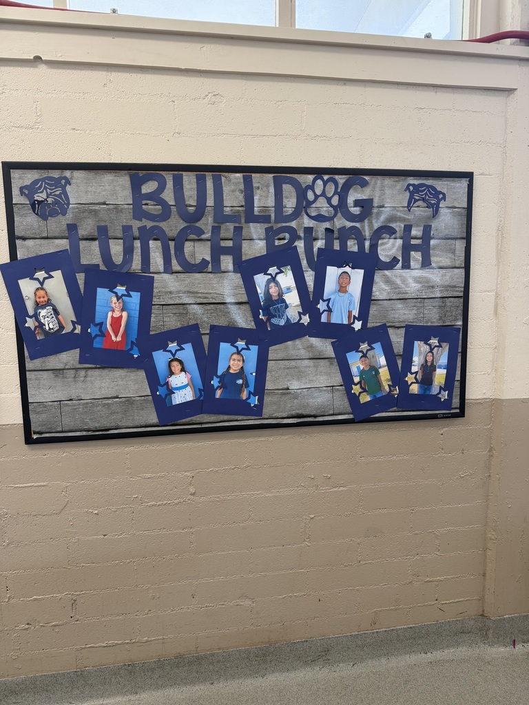 A school bulletin board titled “Bulldog Lunch Bunch” is displayed on a light-colored brick wall. The board has a gray wood-plank background with large navy-blue lettering and bulldog graphics in the upper corners. Eight student photos are displayed across the board in navy-blue frames decorated with stars. The display celebrates students selected for the school’s Bulldog Lunch Bunch.