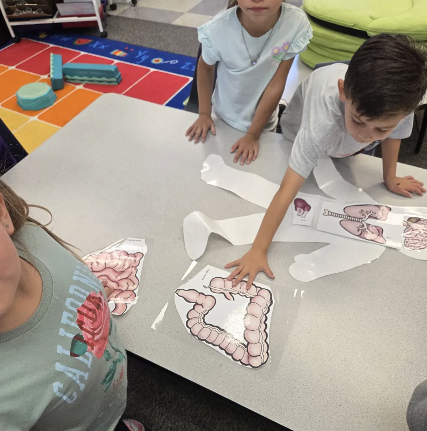 Kindergarten