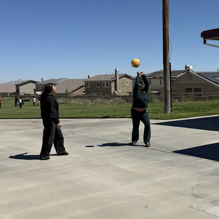 Volleyball